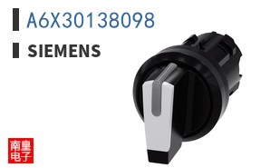 A6X30138098