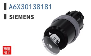 A6X30138181