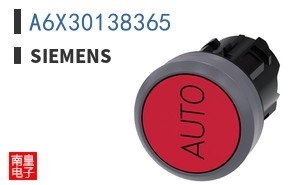 A6X30138365
