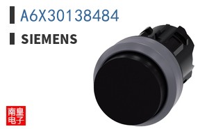 A6X30138484
