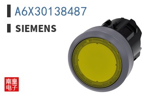 A6X30138487