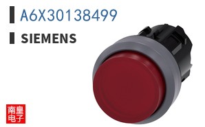 A6X30138499