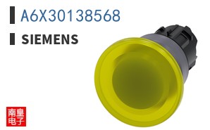 A6X30138568