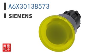 A6X30138573