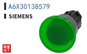 A6X30138579