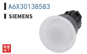 A6X30138583