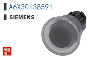 A6X30138591
