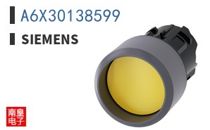 A6X30138599