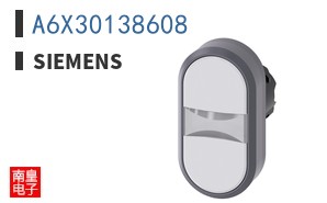 A6X30138608