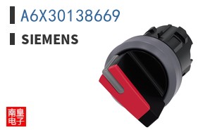 A6X30138669