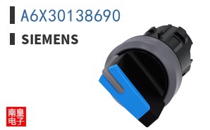 A6X30138690