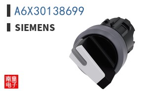 A6X30138699