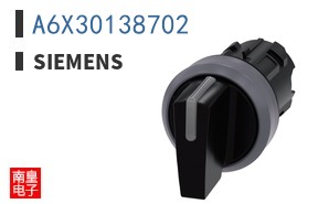 A6X30138702