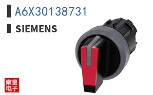A6X30138731