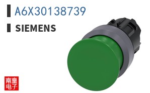 A6X30138739