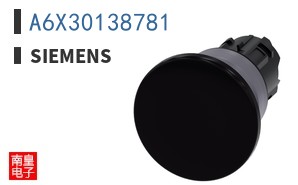 A6X30138781