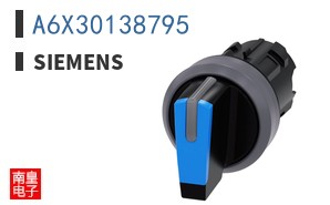 A6X30138795