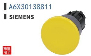 A6X30138811