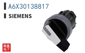 A6X30138817