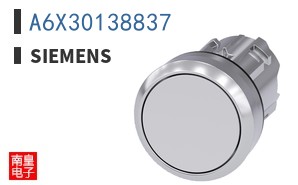 A6X30138837