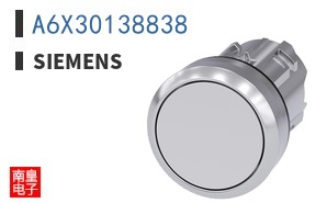 A6X30138838