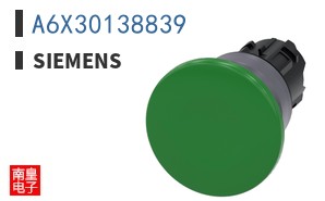 A6X30138839