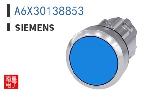 A6X30138853