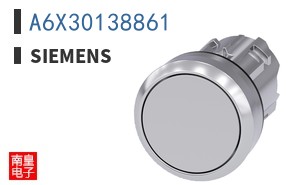 A6X30138861