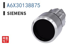 A6X30138875