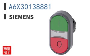 A6X30138881