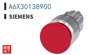 A6X30138900