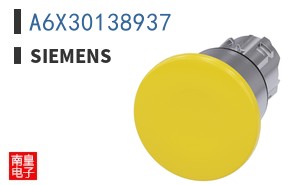A6X30138937