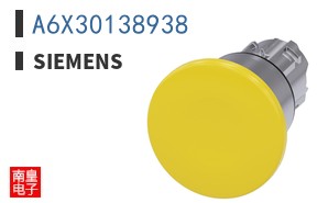 A6X30138938