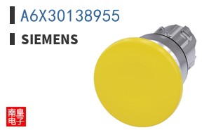 A6X30138955