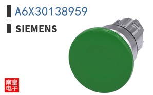 A6X30138959
