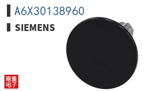 A6X30138960