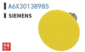 A6X30138985