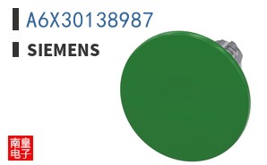 A6X30138987