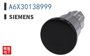 A6X30138999