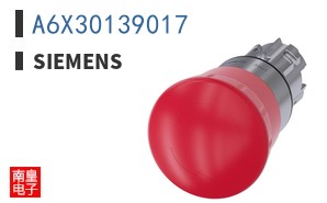 A6X30139017