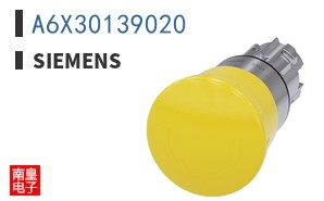 A6X30139020