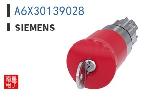 A6X30139028