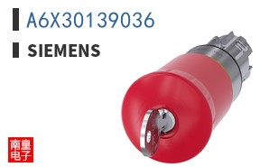 A6X30139036