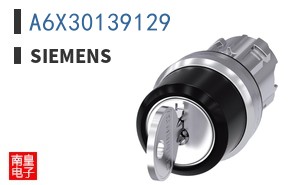 A6X30139129