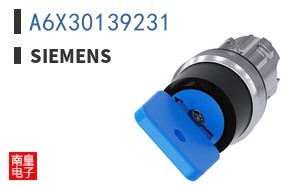 A6X30139231