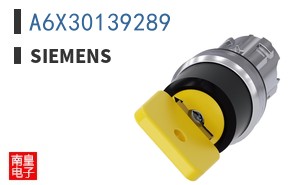 A6X30139289