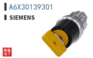 A6X30139301