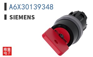 A6X30139348