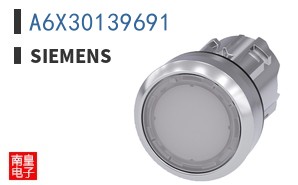 A6X30139691