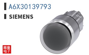 A6X30139793